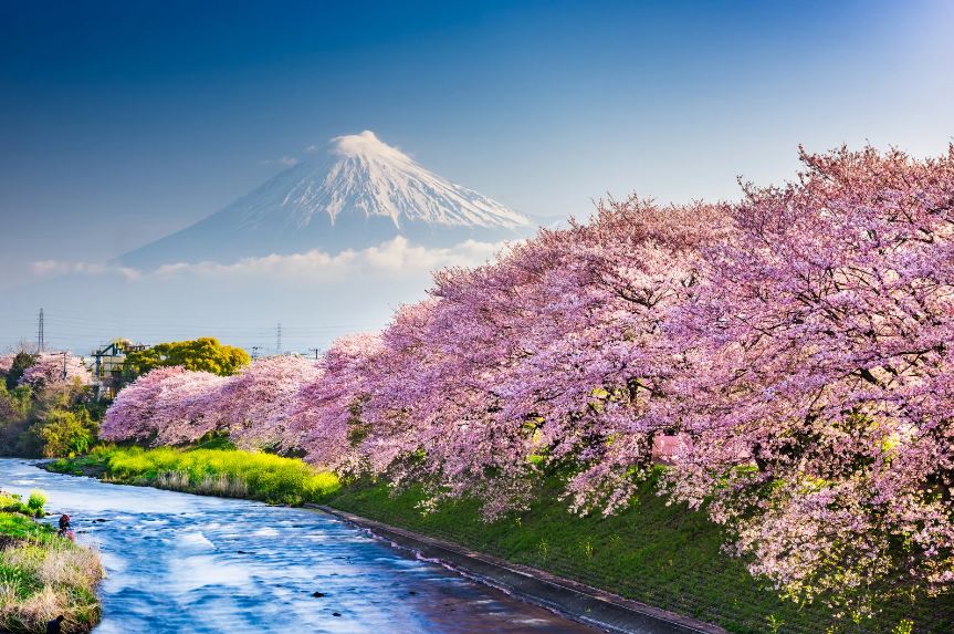 静岡 観光